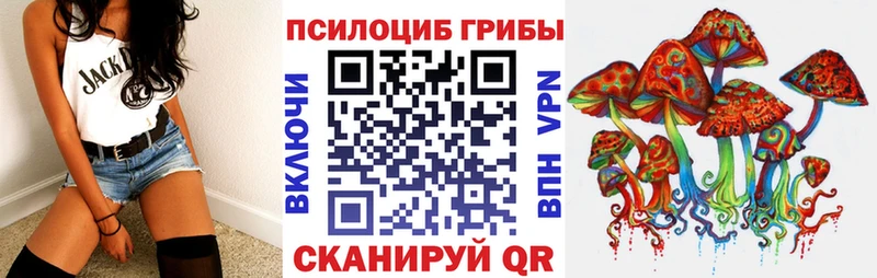 Купить где  Чекалин  Галлюциногенные грибы прущие грибы 